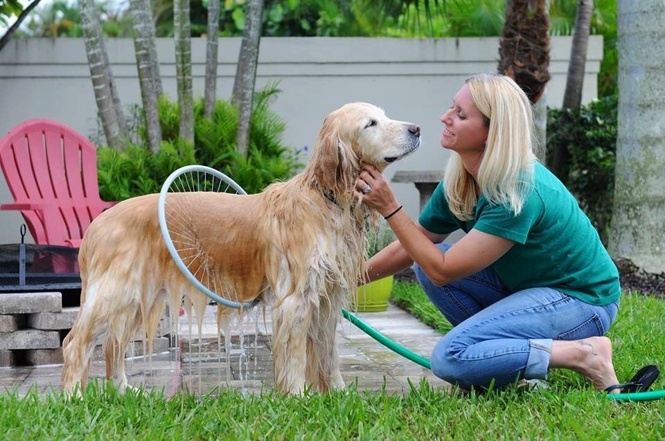 Pet bath ring